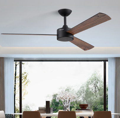 Ceiling fan.png