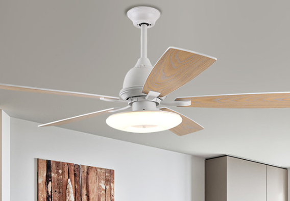 167169222197496.png ceiling fan light.png